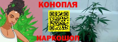 сатива Обь