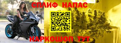 PSILOCYBIN Обнинск