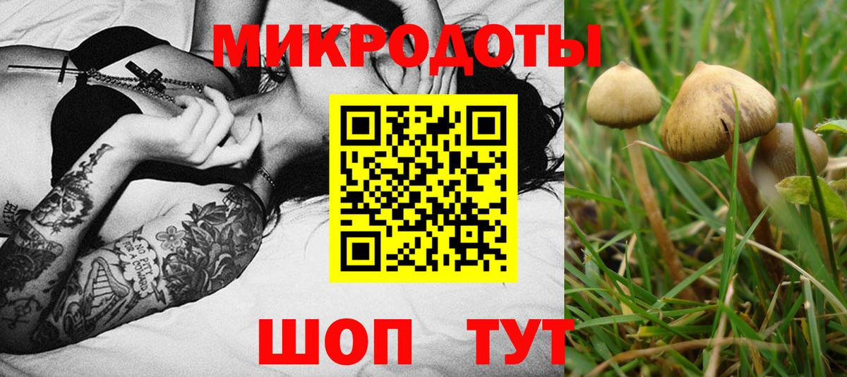 Галлюциногенные грибы мицелий Рузаевка