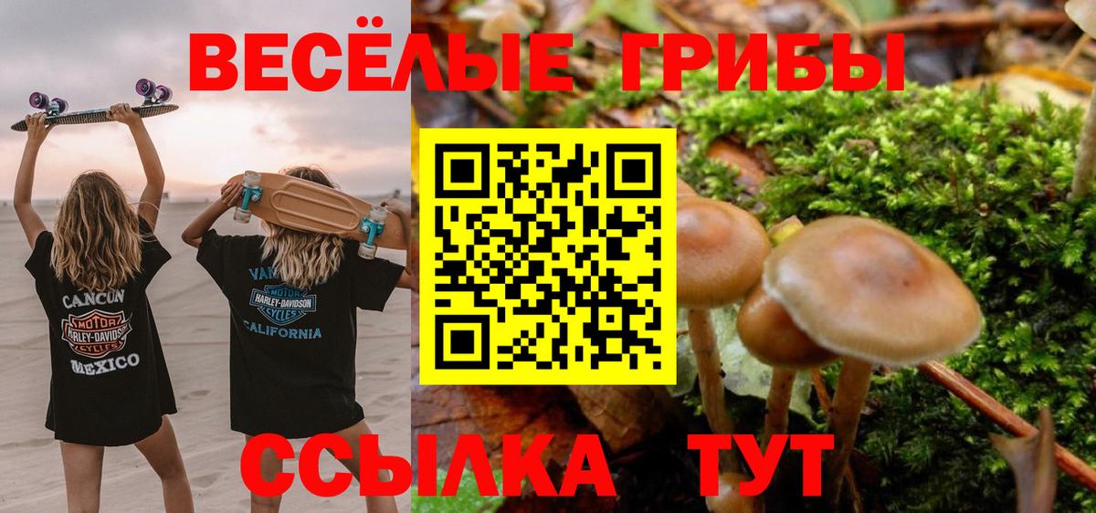 Галлюциногенные грибы мицелий  Вход с VPN  Рузаевка 